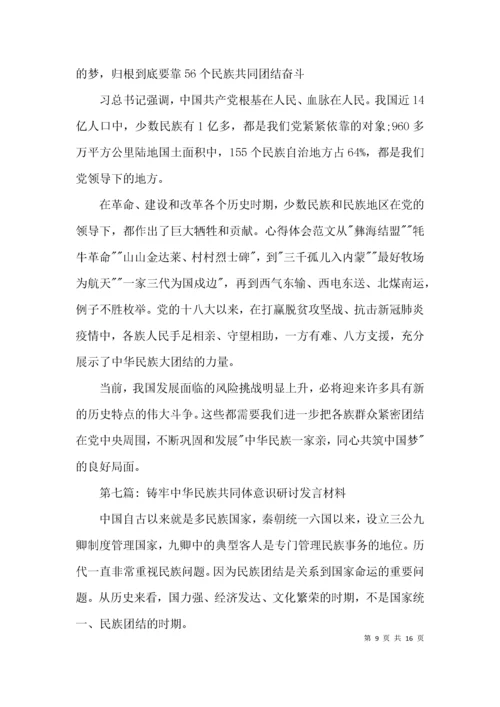 铸牢中华民族共同体意识研讨发言材料【十一篇】.docx