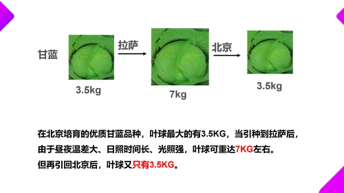 基因突变和基因重组初高中生物PPT课件