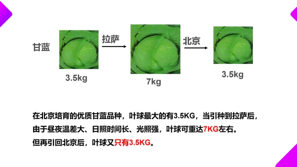 基因突变和基因重组初高中生物PPT课件