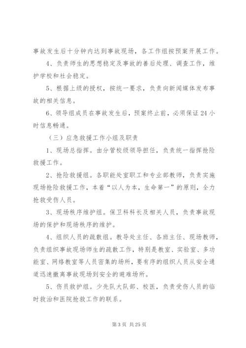 大型集会应急预案.docx