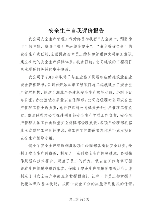 安全生产自我评价报告_1 (3).docx