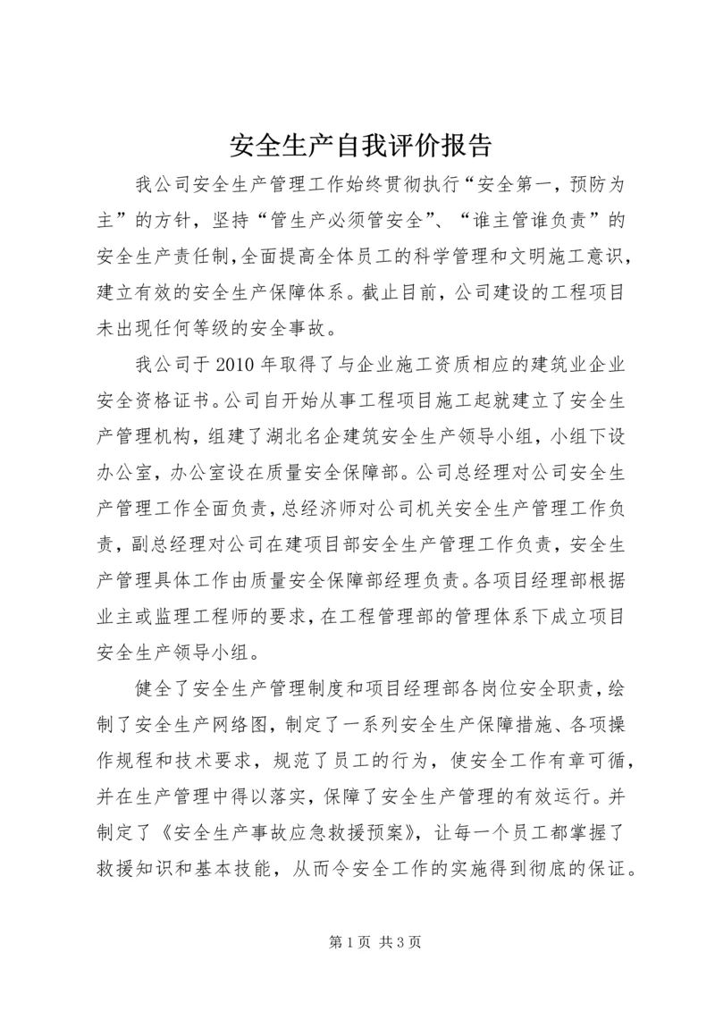 安全生产自我评价报告_1 (3).docx