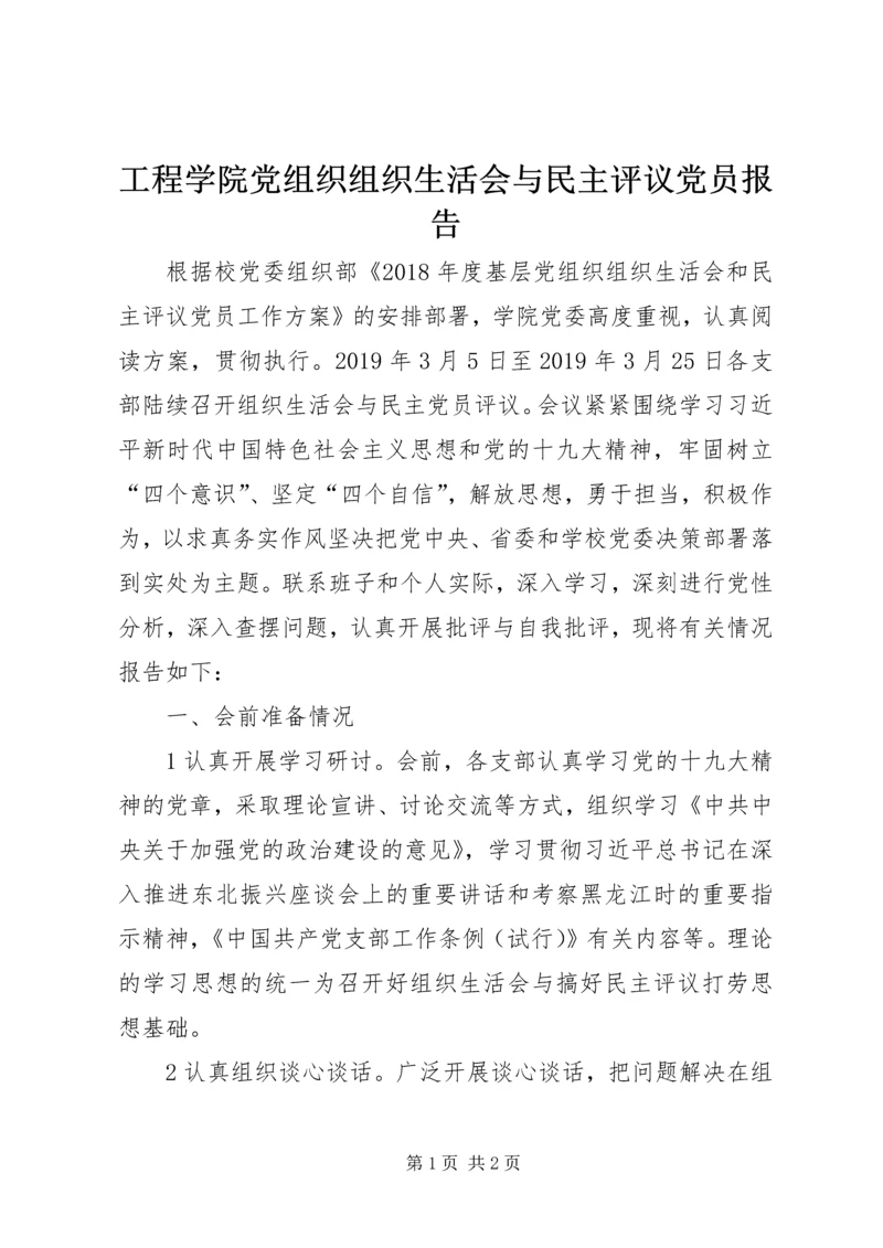工程学院党组织组织生活会与民主评议党员报告.docx