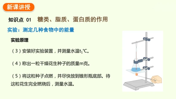 4.2.1食物中的营养物质-七年级生物下学期同步精品课件（2024人教版）(共43张PPT)