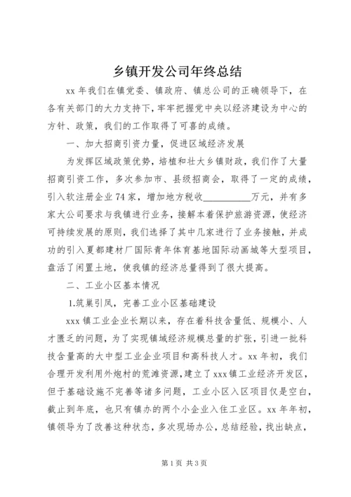 乡镇开发公司年终总结.docx