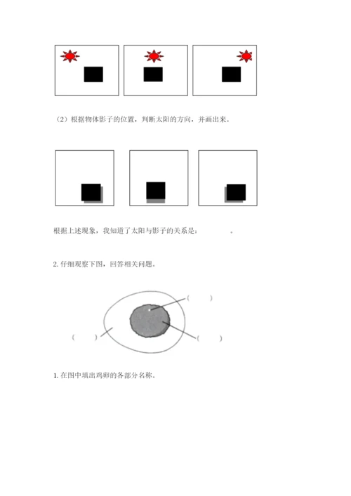 教科版科学三年级下册 期末测试卷【学生专用】.docx