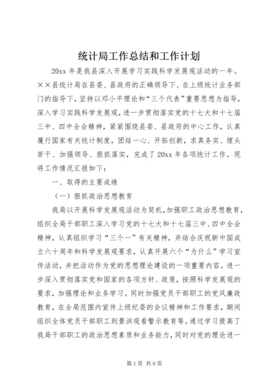 统计局工作总结和工作计划.docx