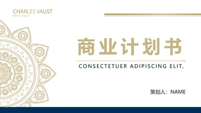 高端大气简约创业融资计划书商业计划书PPT