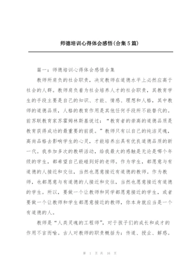 师德培训心得体会感悟(合集5篇).docx