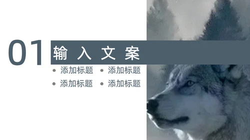 狼性企业文化建设通用PPT模板