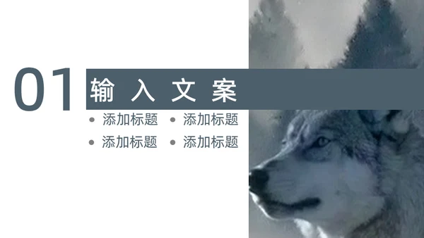 狼性企业文化建设通用PPT模板