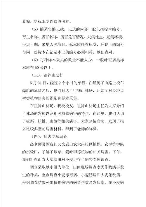 大学生植物病理学实习报告