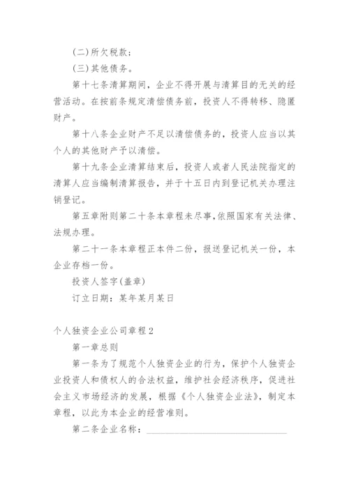 个人独资企业公司章程.docx