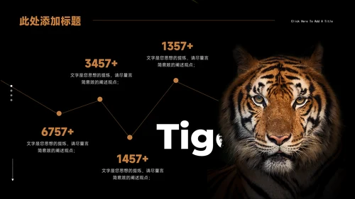 Tiger老虎通用PPT演示模板