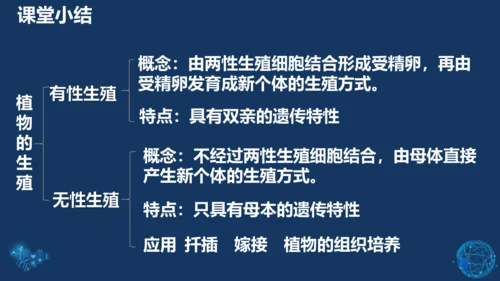 人教版生物学八年级下册 第七单元 第一章 生物的生殖和发育 第1节 植物的生殖 课件