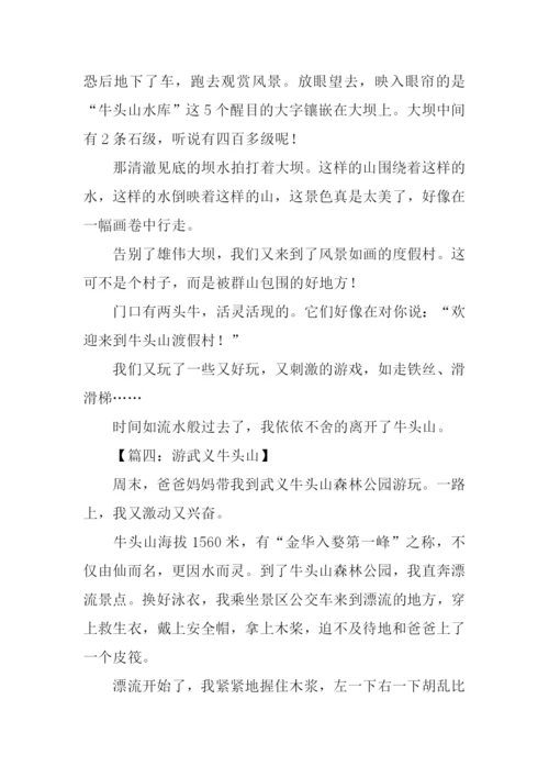游武义牛头山作文.docx