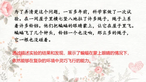 6夜间飞行的秘密  课件