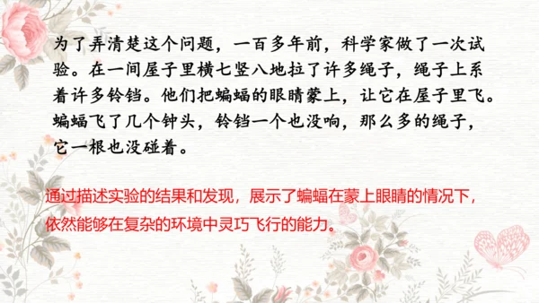 6夜间飞行的秘密  课件