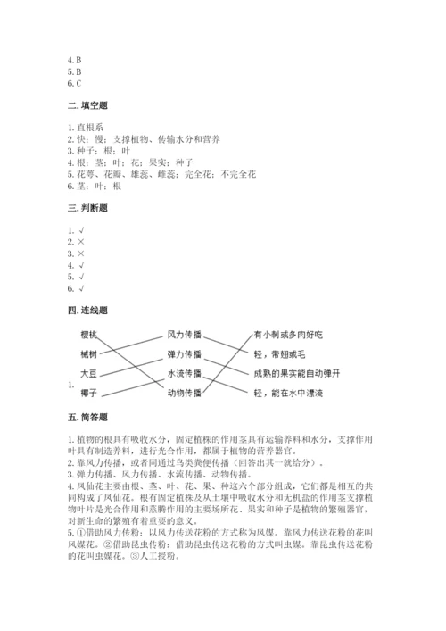 教科版四年级下册科学第一单元《植物的生长变化》测试卷【考点梳理】.docx