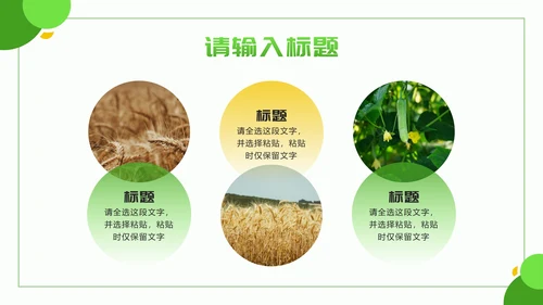 黄绿色几何实景乡村振兴新篇章PPT模板