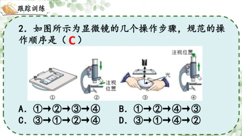 第一章 细胞是生命活动的基本单位（复习课件）-2023-2024学年七年级生物上学期期末复习知识梳理