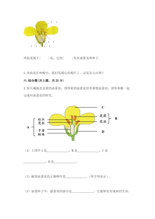 科学四年级下册第一单元《植物的生长变化》测试卷附答案（满分必刷）.docx