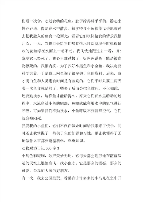 动物观察日记600字作文5篇