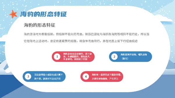 世界海豹日小海豹通用PPT模板