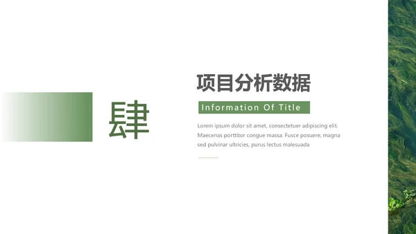 绿色自然风品牌形象策划PPT模板