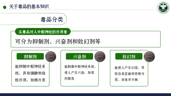 国际禁毒日珍爱生命远离禁毒教育模板