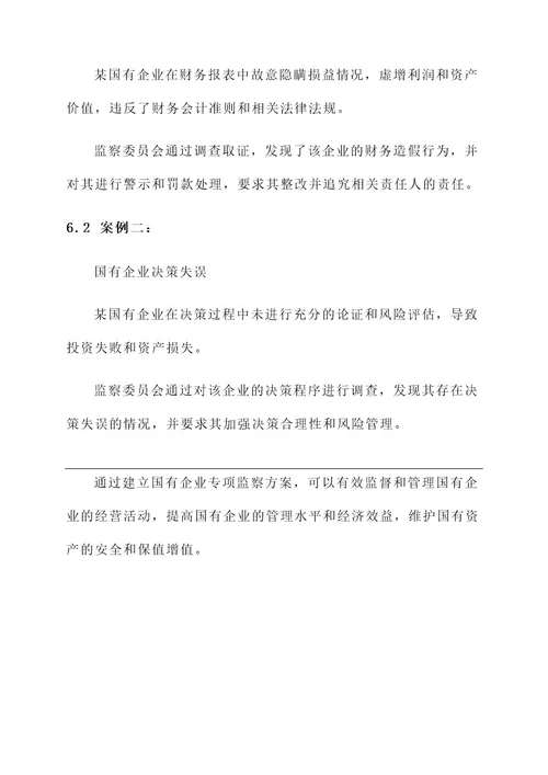 国有企业专项监察方案