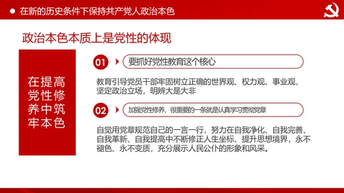 永葆共产党人的政治本色做合格党员PPT模板