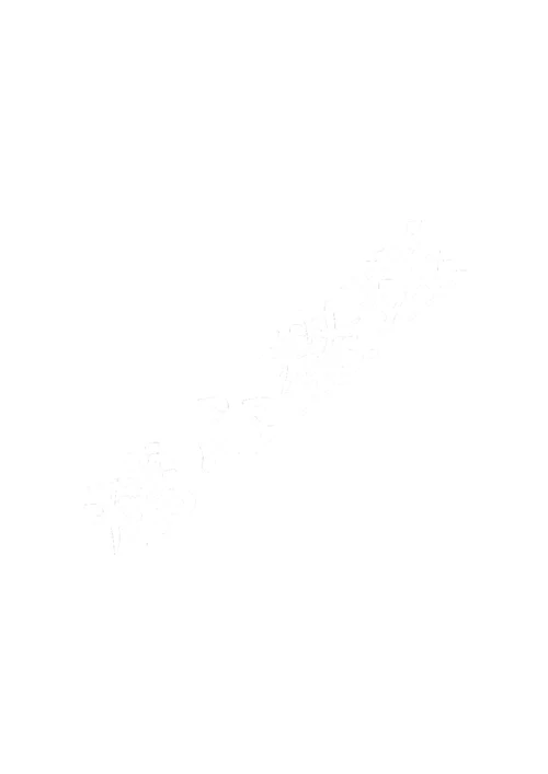 叉车日常保养记录表格模板