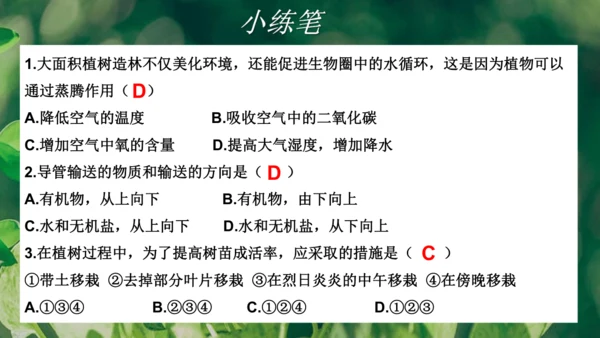 3.3  绿色植物与生物圈的水循环 课件-2023-2024学年人教版生物七年级上册(共23张PPT