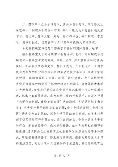 乡镇调研及宣传工作调研报告.docx