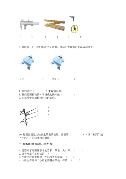 教科版一年级上册科学期末测试卷及参考答案【培优a卷】.docx