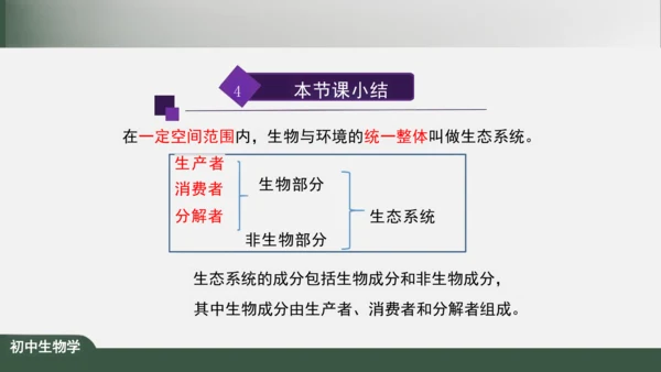 1.2.2 生物与环境组成生态系统 课件（共30张PPT）