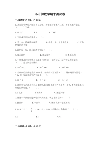 小升初数学期末测试卷及参考答案（综合卷）.docx