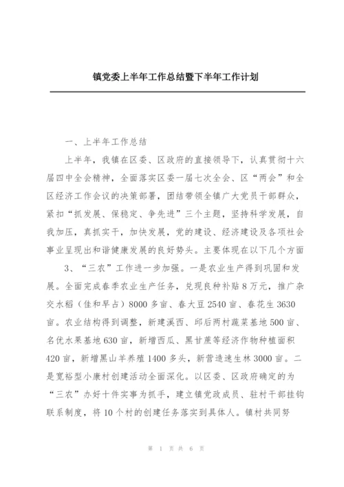 镇党委上半年工作总结暨下半年工作计划.docx