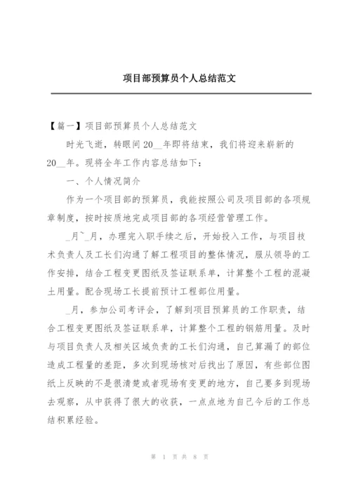 项目部预算员个人总结范文.docx