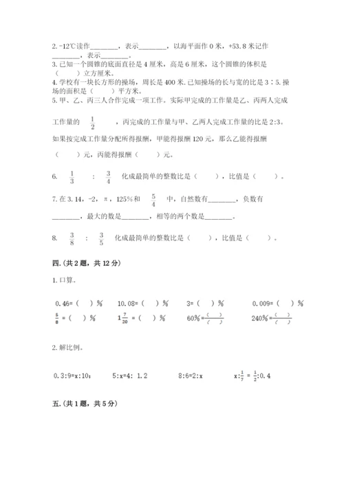 小学六年级下册数学摸底考试题含完整答案【夺冠系列】.docx