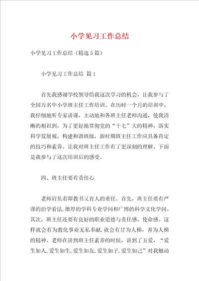 小学见习工作总结