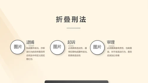 深入学习宣传法治宪法法律行政法规规章PPT