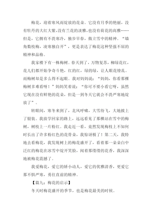 梅花的启示作文.docx
