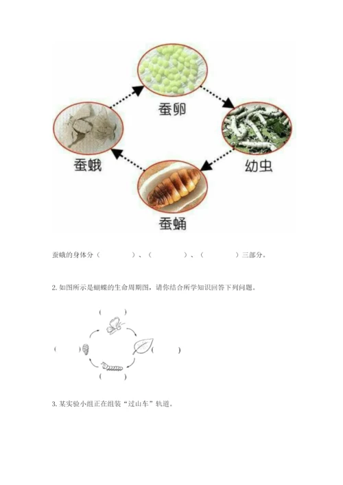 教科版科学三年级下册期末测试卷（名校卷）.docx