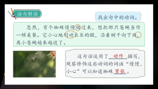 【核心素养】部编版语文四年级下册-5.琥珀 第2课时（课件）