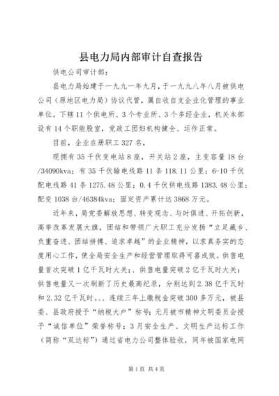 县电力局内部审计自查报告 (2).docx