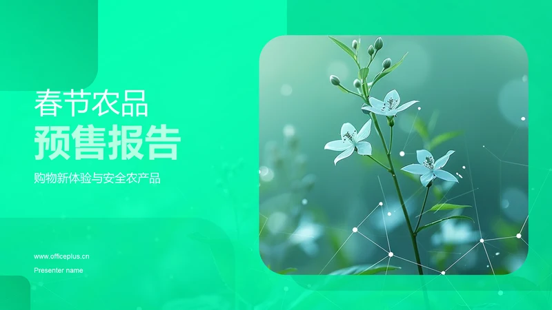 春节农品预售报告PPT模板