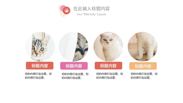 宠物乐园萌宠猫咪主题通用PPT模板
