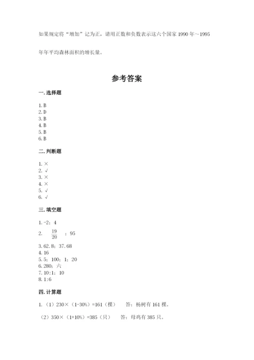 七台河市小升初数学测试卷及参考答案一套.docx